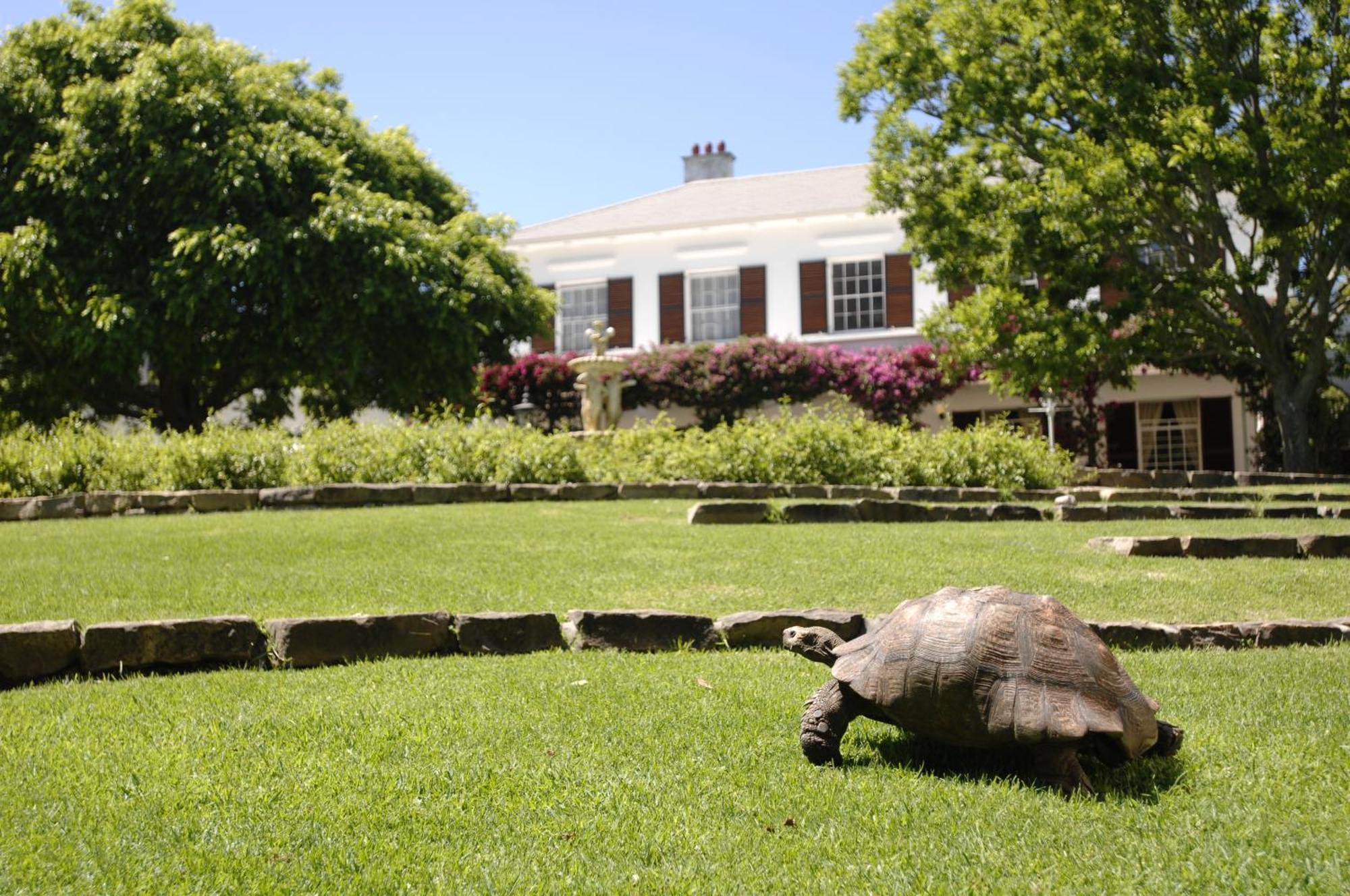Vineyard Hotel Cape Town Ngoại thất bức ảnh