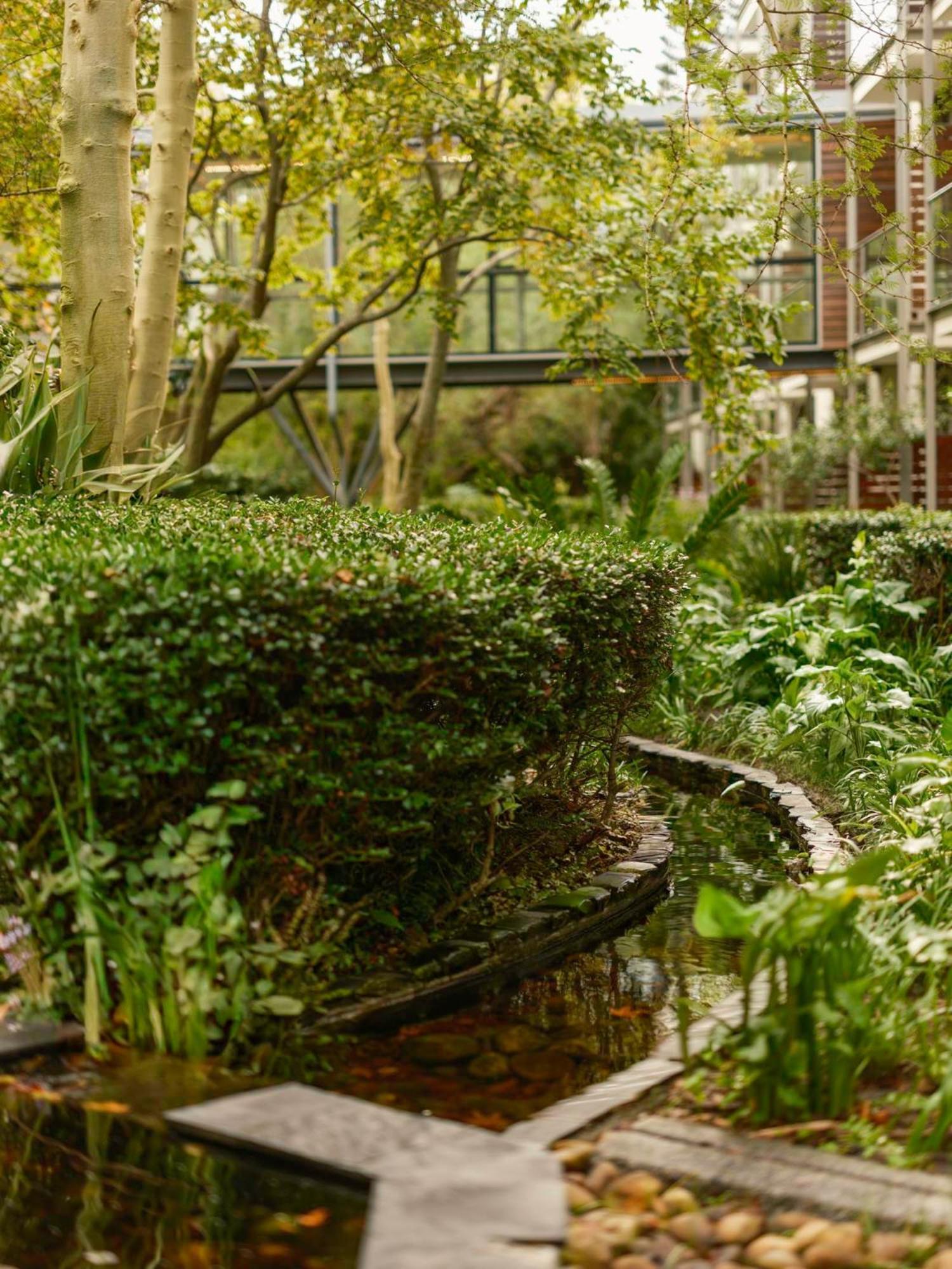 Vineyard Hotel Cape Town Ngoại thất bức ảnh